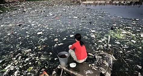 tac-hai-nuoc-thai-sinh-hoat-khong-duoc-xu-ly