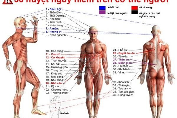 Huyệt đạo trên cơ thể