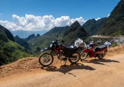 IMG_2735-min-1024x683