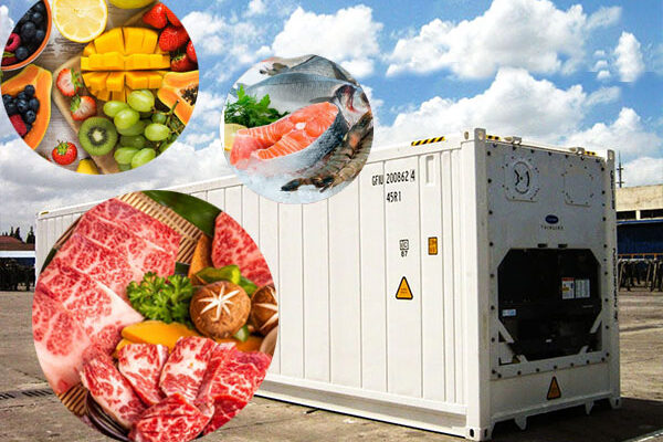 container-lanh-chuyen-cho-nhung-loai-hang-hoa-nao-7