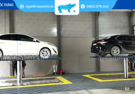 cau-nang-1-tru-rua-xe1