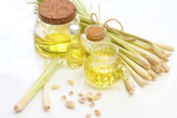 Tinh dầu sả chanh - Giải pháp chống say xe hiệu quả