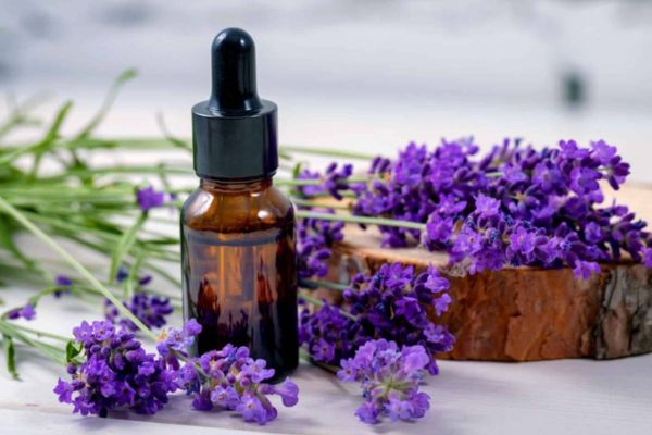 Tinh dầu chống say xe hương Lavender hỗ trợ cải thiện tinh thần