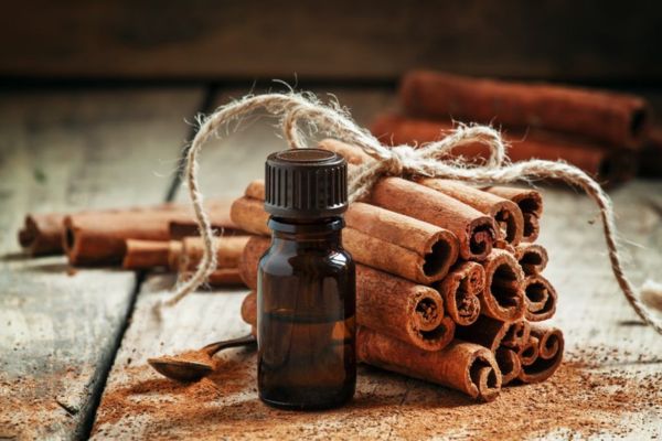 Quế giúp làm ấm cơ thể và hạn chế đau đầu khi di chuyển