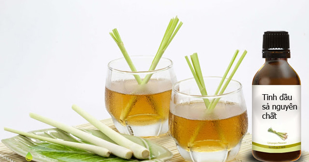 Tìm hiểu tinh dầu sả xông phòng có giúp kháng khuẩn, hạn chế nấm mốc và tạo không gian thơm mát